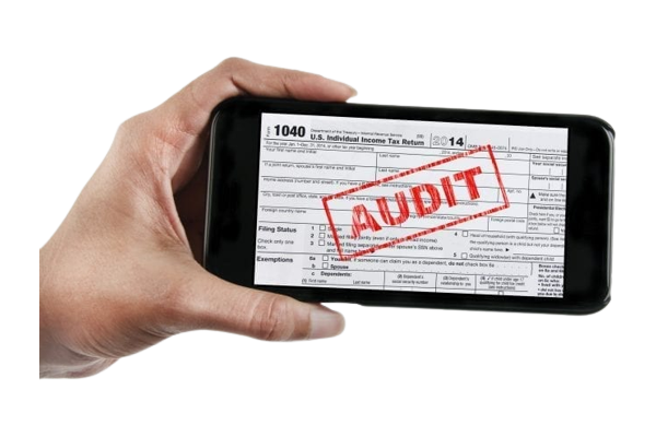 Irs Audit/ State Audit Representation